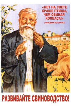 011. Советский плакат: Развивайте свиноводство!