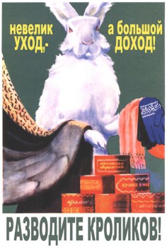 015. Советский плакат: Небольшой уход, - а велик доход! Разводите кроликов!