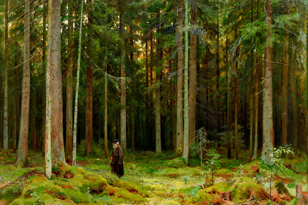 031. Репродукция: И. Шишкин. В лесу графини Мордвиновой