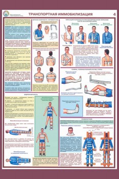 24. Плакат по первой медицинской помощи: Транспортная иммобилизация