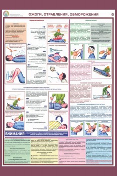 26. Плакат по первой медицинской помощи: Ожоги, отравления, обморожения