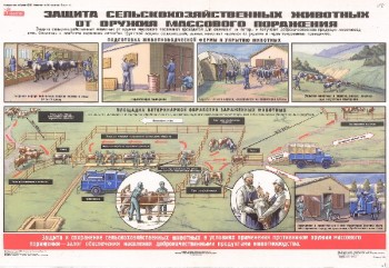 58. Плакат по гражданской обороне: Защита сельскохозяйственных животных от оружия массового поражения