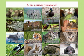 105. Плакат для детского сада: А вы с ними знакомы? (1)