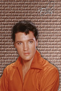 351. Постер: Elvis Presley на фоне кирпичной стены