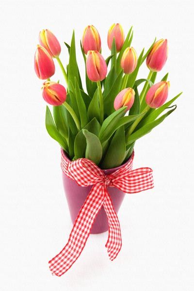 014. Поздравление: Тюльпаны в розовой корзинке