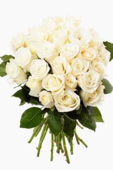 053. Поздравление: Букет белых роз
