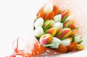 094. Поздравление: Букет разноцветных тюльпанов