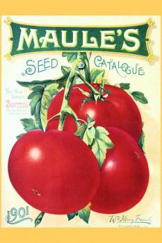 002. Ретро плакат западных стран: "Tomatoes" Seed Catalog Cover