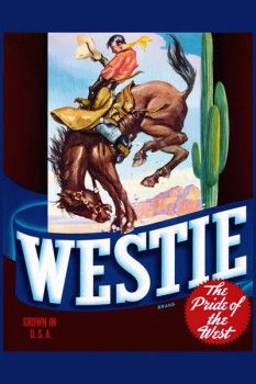 108. Ретро плакат западных стран: Westie brand. The Pride of the West