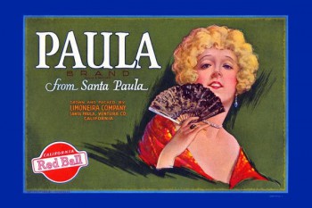 158. Иностранный плакат: Paula brand
