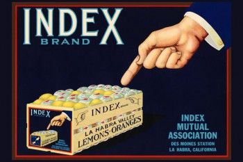 165. Иностранный плакат: Index brand