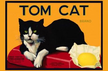 166. Иностранный плакат: Tom Cat brand