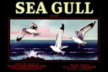 168. Иностранный плакат: Sea Gull brand