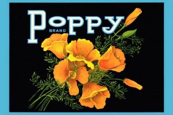 169. Иностранный плакат: Poppy brand