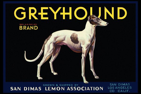 170. Иностранный плакат: Greyhound brand