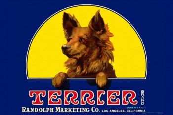 173. Иностранный плакат: Terrier brand