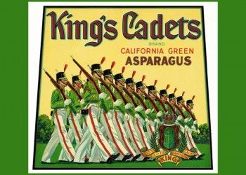 181. Иностранный плакат: King`s Cadets brand. California green Asparagus