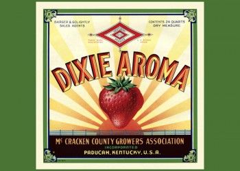 182. Иностранный плакат: Dixie Aroma