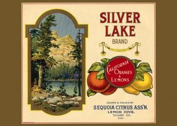 186. Иностранный плакат: Silver Lakel brand