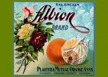 187. Иностранный плакат: Allion brand