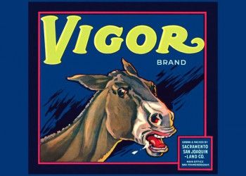 188. Иностранный плакат: Vigor brand