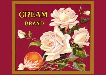 190. Иностранный плакат: Cream brand