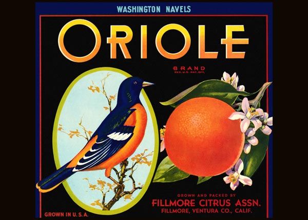 197. Иностранный плакат: Oriole brand