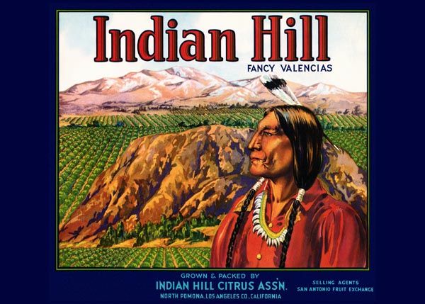 203. Иностранный плакат: Indian Hill fancy valencias