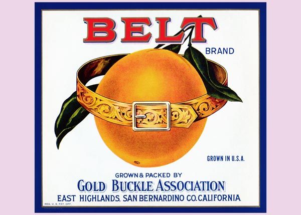 204. Иностранный плакат: Belt brand