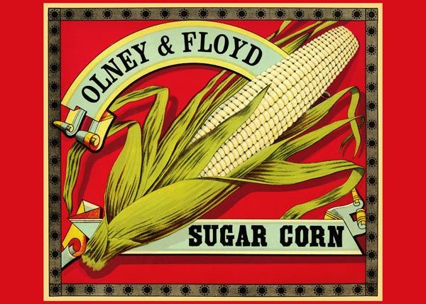 205. Иностранный плакат: Olney @ Floyd. Sugar corn
