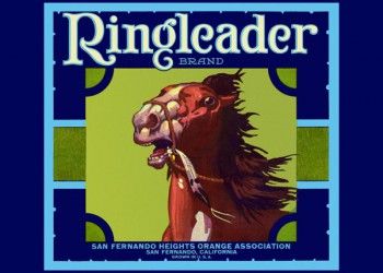 207. Иностранный плакат: Ringleader brand
