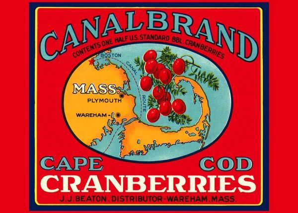210. Иностранный плакат: Canalbrand cape cod Granberries
