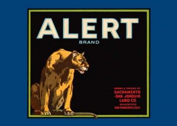 213. Иностранный плакат: Alert brand