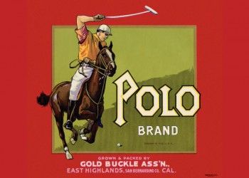 219. Иностранный плакат: Polo brand