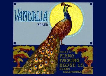 222. Иностранный плакат: Vandalia brand