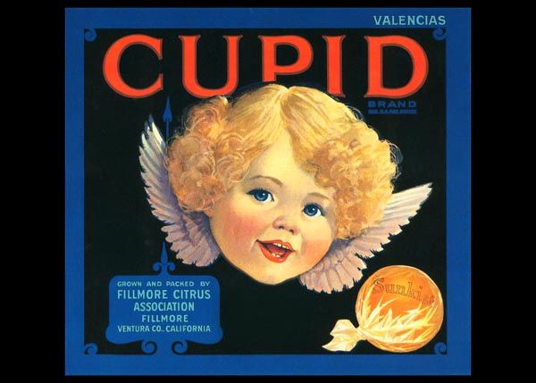 237. Иностранный плакат: Cupid brand
