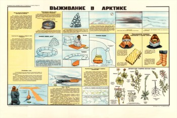 0171. Военный ретро плакат: Выживание в Арктике