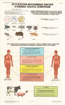 0284. Военный ретро плакат: Пути передачи инфекционных болезней и основные объекты дезинфекции