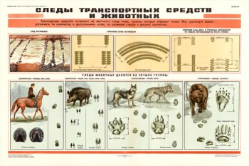 0843. Военный ретро плакат: Следы транспортных средств и животных