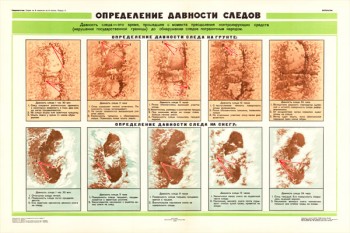 0848. Военный ретро плакат: Определение давности следов