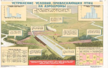 0860. Военный ретро плакат: Устранение условий, привлекающих птиц на аэродромы