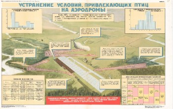 0860. Военный ретро плакат: Устранение условий, привлекающих птиц на аэродромы