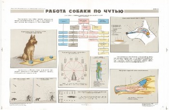 0865. Военный ретро плакат: Работа собаки по чутью