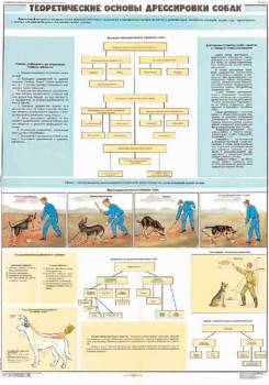 0878. Военный ретро плакат: Теоретические основы дрессировки собак