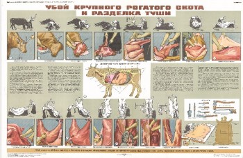 1553. Советский плакат: Убой крупного рогатого скота и разделка туши