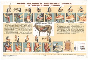 1554. Советский плакат: Убой мелкого рогатого скота и разделка туши