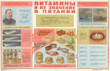 1564. Советский плакат: Витамины и их значение в питании