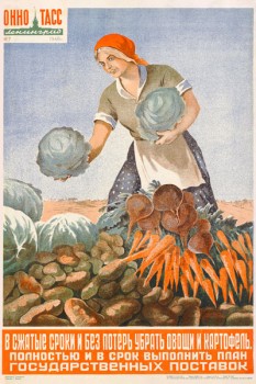 600. Советский плакат: В сжатые сроки и без потерь убрать овощи и картофель