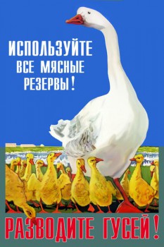 1076. Советский плакат: Используйте все мясные резервы! Разводите гусей!