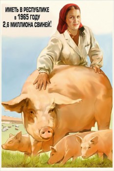 1218. Советский плакат: Иметь в республике в 1965 году 2,6 миллиона свиней!